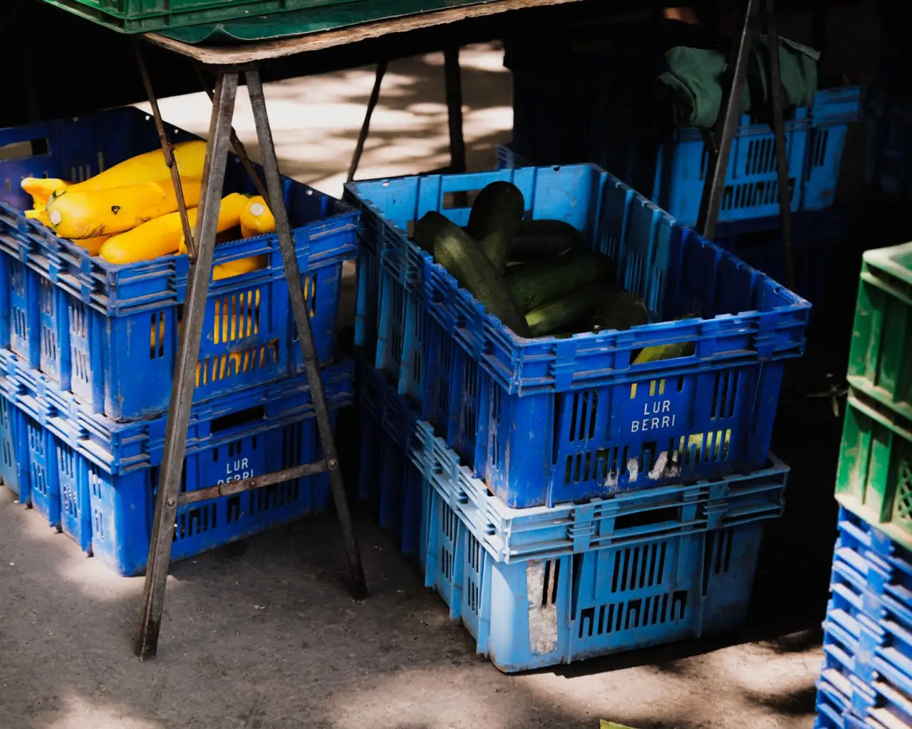 餐饮策划与品牌孵化全流程服务体系详解