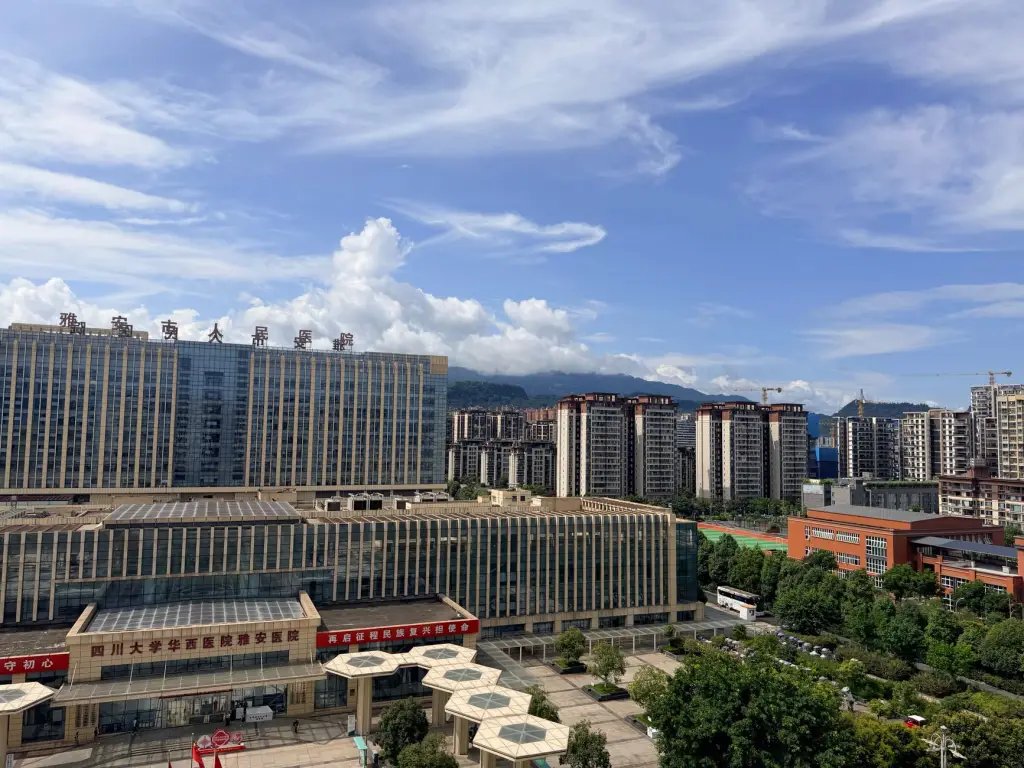 基于大数据分析的餐饮策划品牌定位与市场策略